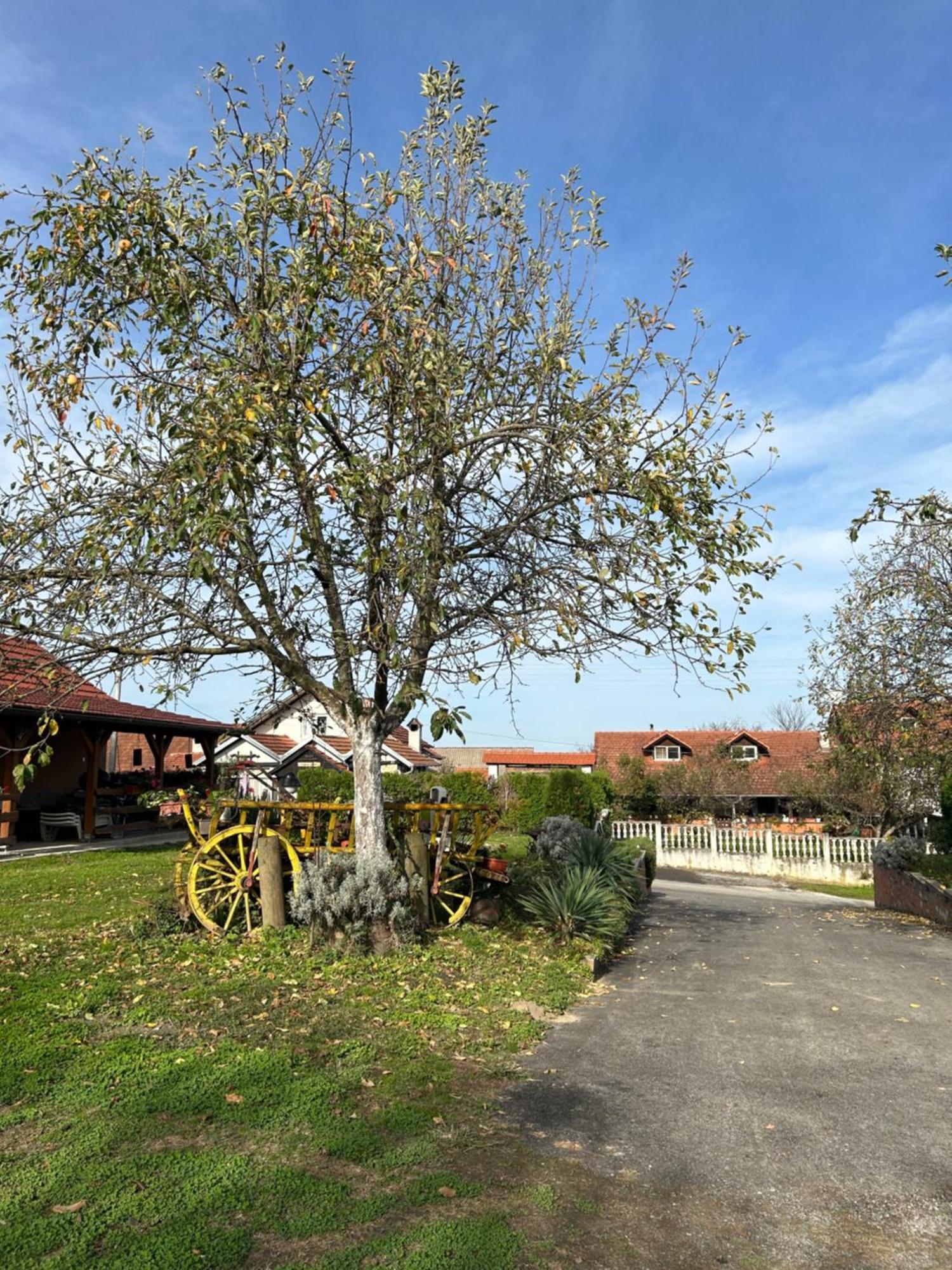 B&B Lukac Kutina Zewnętrze zdjęcie